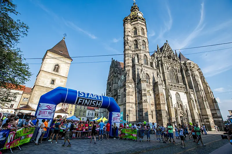 Velvet Run 2019